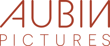 Aubin Pictures Logo